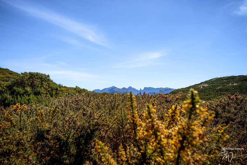 Parques Florestal; Bica da Cana; Madeira | Herzlich willkommen auf meiner Seite! Ich bin Elke Wallnisch, Deine Fotografin für lichtstarke Momente. Der Name steht für alles, was mich mit der Fotografie verbindet: Das Licht und seine machtvolle Wirkung auf eine Situation oder unsere Stimmung - Realisiert mit Pictrs.com