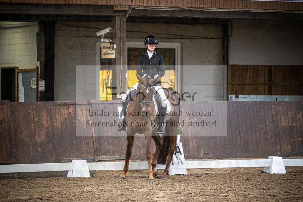 DOS_1176 | Entdecke hochwertige Reitturnierfotos von Foto Oger. Professionell, emotional und authentisch – jetzt Lieblingsmomente im Shop bestellen.Deutschlandweite Turnierfotografie. - Realisiert mit Pictrs.com