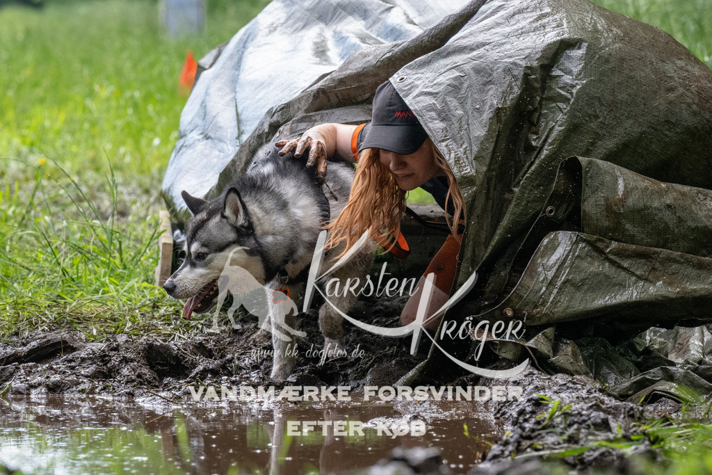 1105_ZZ91327 | kk-dogfotos