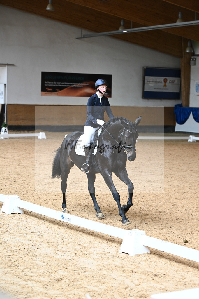 Kat-Nr. 24 Caladan_Scherer_14240446 | hf-fotografie - Realisiert mit Pictrs.com