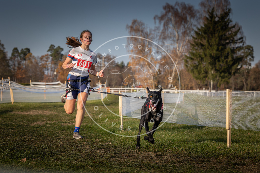 CaniXpix_0L8A0026 | Hundefotografie, Tierfotograf, Pfotenfotografie, Fotoshooting Hund, Hunde Portrait, Hundesport, Hundeportraits, Heideshooting, Hunde, Sportfotograf, Hundefotograf, Turnierhundsport, THS,  - Realisiert mit Pictrs.com