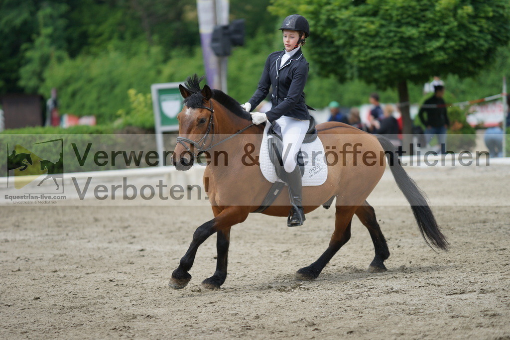 DSC04535 | equestrian-live-com