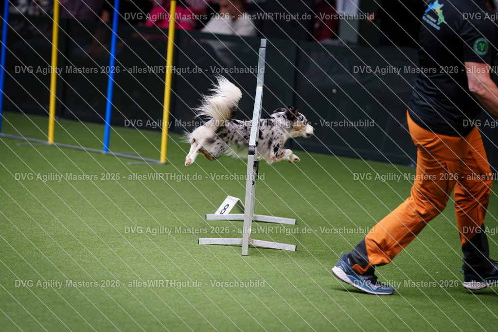allesWIRTHgut_Tierfotografie-DVG_Agility_Masters_2026-11_15-7R505321 | Professionelle Tierfotografie in Mönchengladbach von Daniel Wirth (allesWIRTHgut). Liebevolle & natürliche Bilder von Hunden & Katzen für unvergessliche Erinnerungen.