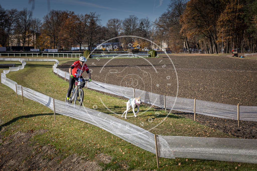 CaniXpix_DV3A7136 | Hundefotografie, Tierfotograf, Pfotenfotografie, Fotoshooting Hund, Hunde Portrait, Hundesport, Hundeportraits, Heideshooting, Hunde, Sportfotograf, Hundefotograf, Turnierhundsport, THS,  - Realisiert mit Pictrs.com