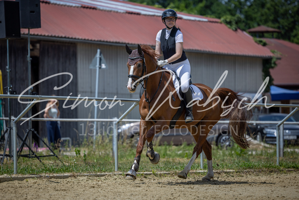 20260704-_3LI8746 | Tierfotografie Pferde, Hunde, Katzen, Haustiere.
Turnierfotografie Reitturniere, Reiten, Springreiten, Dressur in Hanau, dem Main-Kinzig-Kreis und dem Rhein-Main- Gebiet um Frankfurt