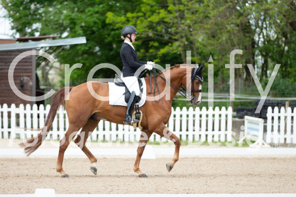 IMG_6184 | Creatify Fotografie