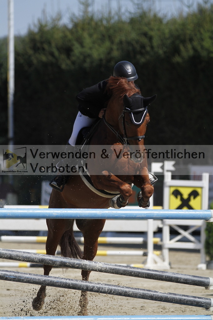 _MG_8145 | equestrian-live-com
