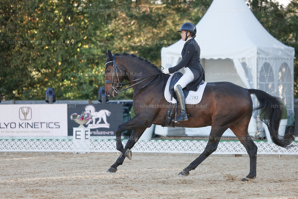 09_1-193-DRESSUR  S_  -StoibPH-5493 | working equitationturnier fotograf videograf stoibphotography marixx film working equitation deutschland reitsport turnierfotografie eventfotografie equestrian events