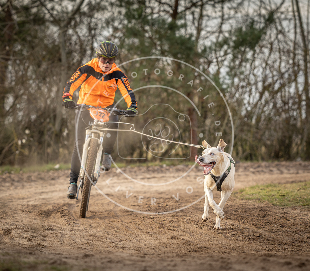 Pfotenfotografie_DV3A8254 | Hundefotografie, Tierfotograf, Pfotenfotografie, Fotoshooting Hund, Hunde Portrait, Hundesport, Hundeportraits, Heideshooting, Hunde, Sportfotograf, Hundefotograf, Turnierhundsport, THS,  - Realisiert mit Pictrs.com