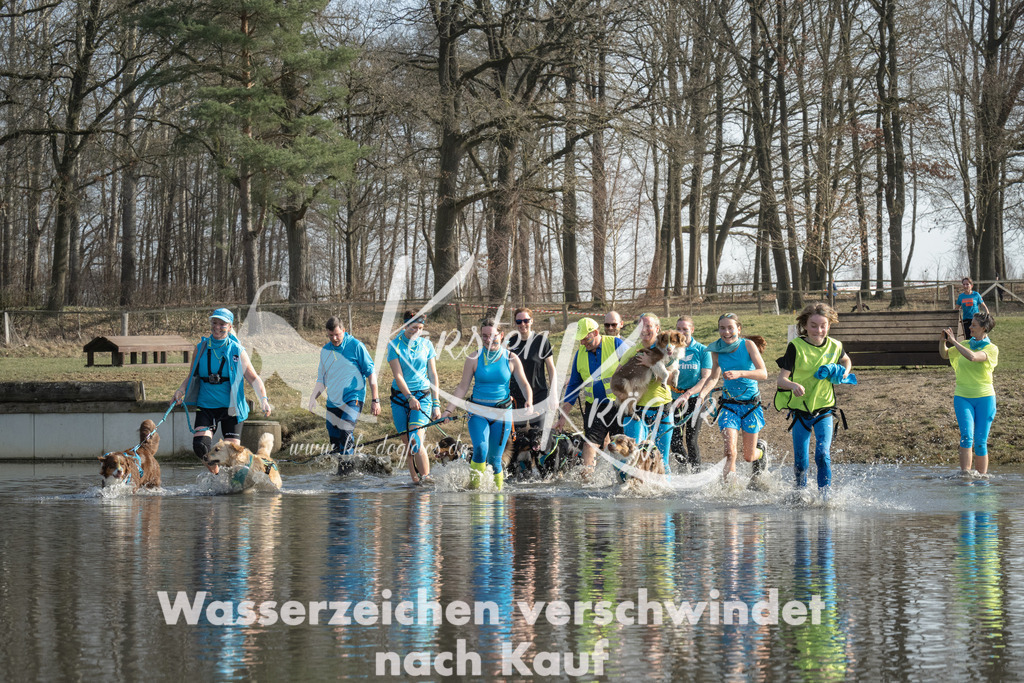 1347_ZZ98100 | kk-dogfotos