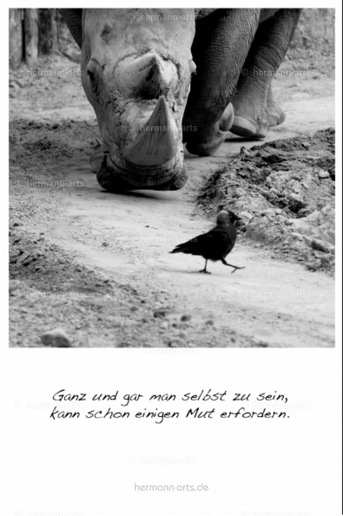 PK_Zitate_10x15_BW-073 | Photo Foto Kunst Art schwarzweiss Bilder Rheine Münster Berlin Blumen 