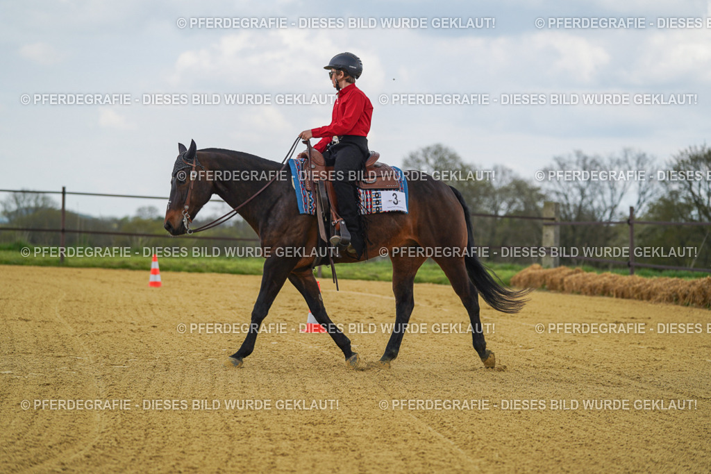 DSC05854 | Pferdegrafie