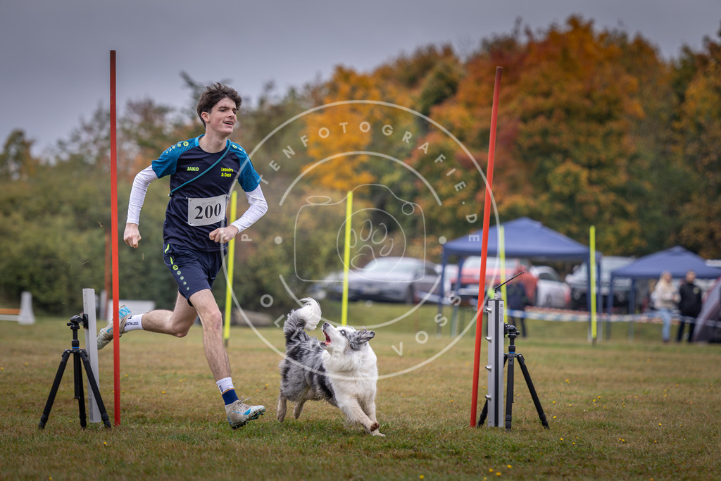 Pfotenfotografie_DV3A1247 | Hundefotografie, Tierfotograf, Pfotenfotografie, Fotoshooting Hund, Hunde Portrait, Hundesport, Hundeportraits, Heideshooting, Hunde, Sportfotograf, Hundefotograf, Turnierhundsport, THS,  - Realisiert mit Pictrs.com