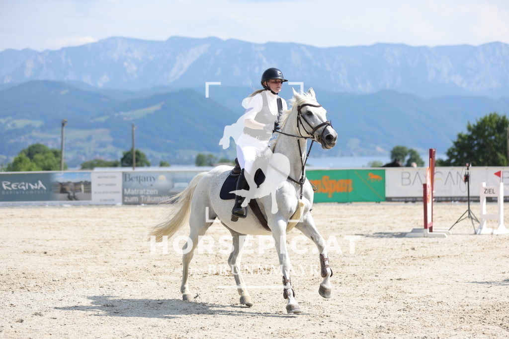 0P6A0662 | Willkommen bei Brunnmayr - Design & Fotografie – Ihrem Spezialisten für Reitturniere und Pferdeveranstaltungen in Oberösterreich, Salzburg und Bayern! Seit über 17 Jahren sind wir leidenschaftlich dabei.