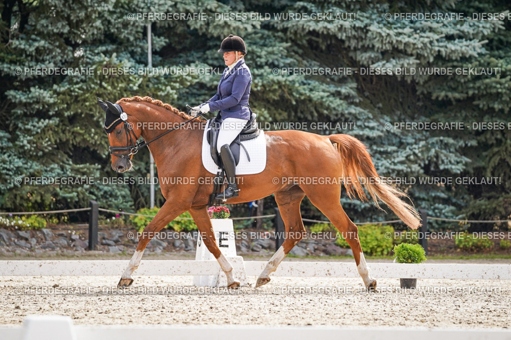 DSC07264 | Pferdegrafie