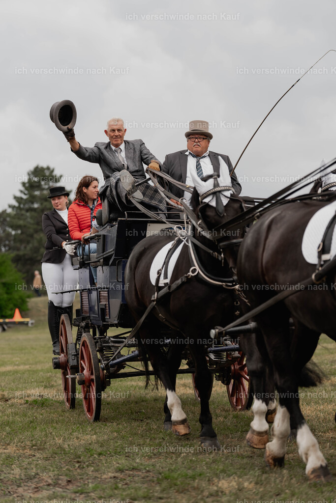Showprogramm-169 | working equitationturnier fotograf videograf stoibphotography marixx film working equitation deutschland reitsport turnierfotografie eventfotografie equestrian events