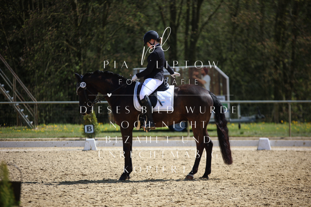 IMGT7236 | pl-fotografie