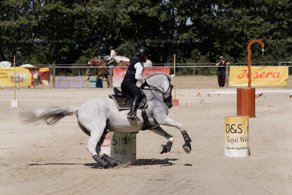 WM_SP_143_SinaFilmArt_IN07821 | working equitationturnier fotograf videograf stoibphotography marixx film working equitation deutschland reitsport turnierfotografie eventfotografie equestrian events