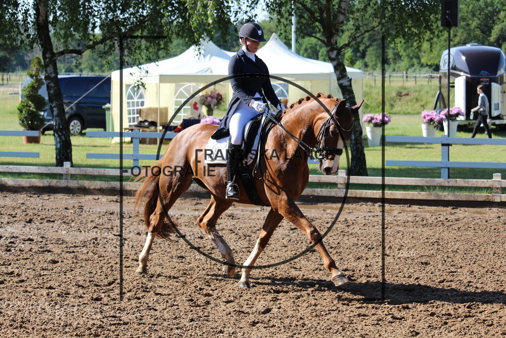 IMG_6386 | franziskalange - Realisiert mit Pictrs.com