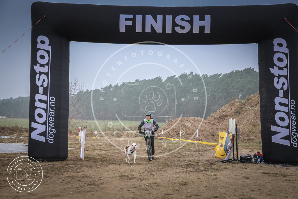 Pfotenfotografie_0L8A2629 | Hundefotografie, Tierfotograf, Pfotenfotografie, Fotoshooting Hund, Hunde Portrait, Hundesport, Hundeportraits, Heideshooting, Hunde, Sportfotograf, Hundefotograf, Turnierhundsport, THS,  - Realisiert mit Pictrs.com