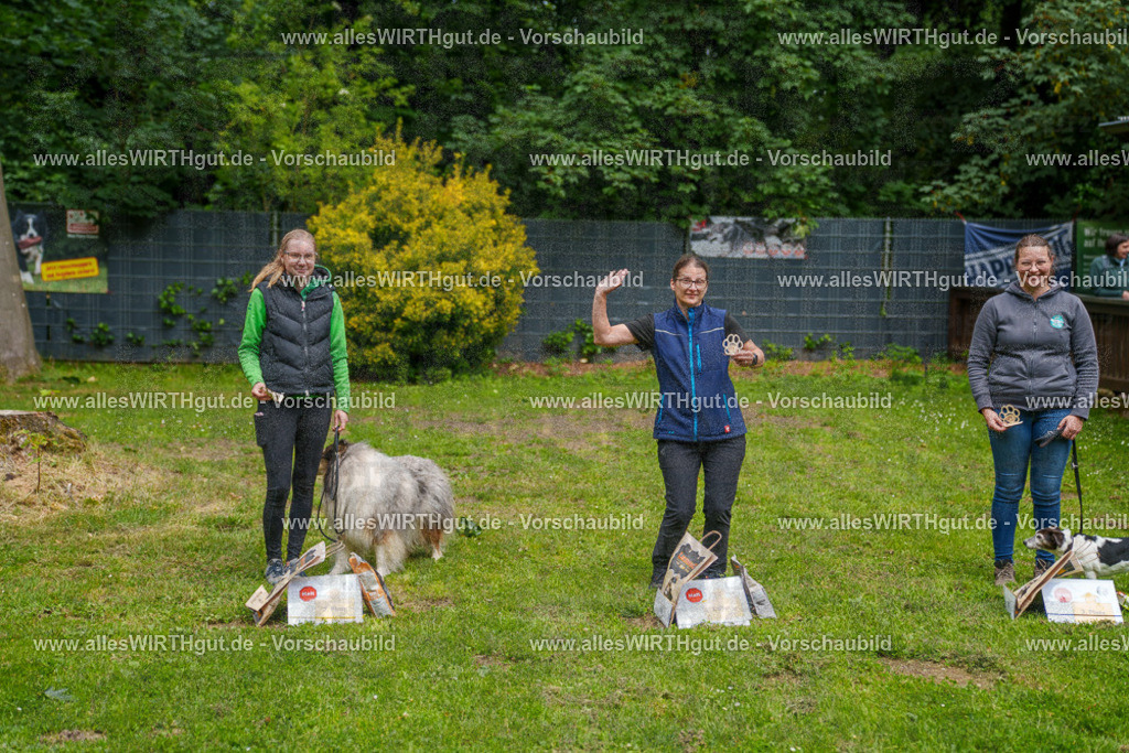 @allesWIRTHgut_Tierfotografie - www.allesWIRTHgut.de - 114632-7R508518 | Professionelle Tierfotografie in Mönchengladbach von Daniel Wirth (allesWIRTHgut). Liebevolle & natürliche Bilder von Hunden & Katzen für unvergessliche Erinnerungen.