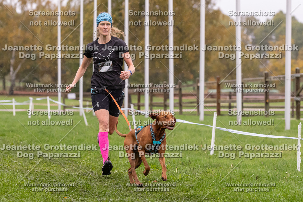 Dog Paparazzi - SD CaniX Championship 2025-981 | Dog Paparazzi Jeanette Grottendiek Fotografie & Videografie - Realisiert mit Pictrs.com