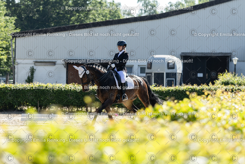 CL5A7004 | Emilia Reinking Fotografie - Realisiert mit Pictrs.com