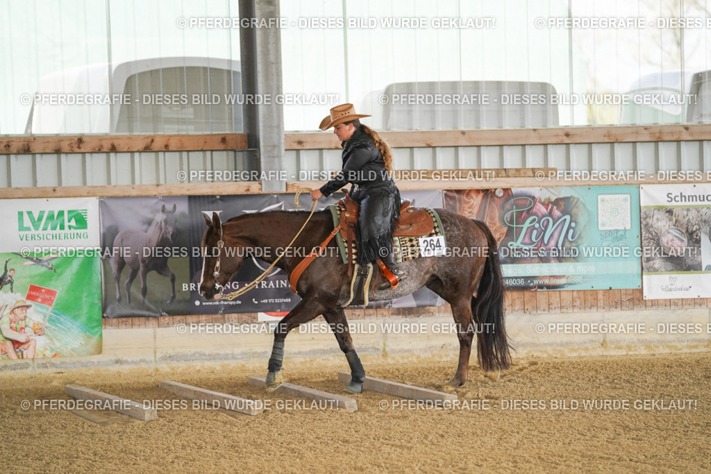 DSC02373 | Pferdegrafie