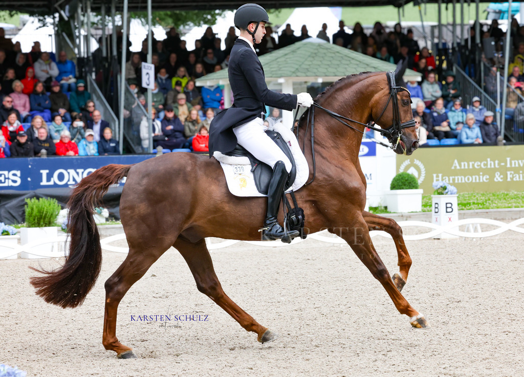IMG_0117 | Reitsport Reiten