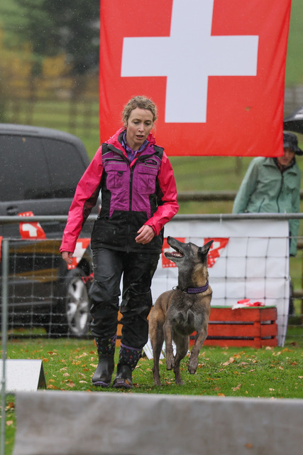 2025_Rally_Obedience_SM-192 | Ich fotografiere Hundeausstellungen, Sportanlässe, Zuchtstätten, Hundezucht, Hundeportrait, Lagotto - Realisiert mit Pictrs.com