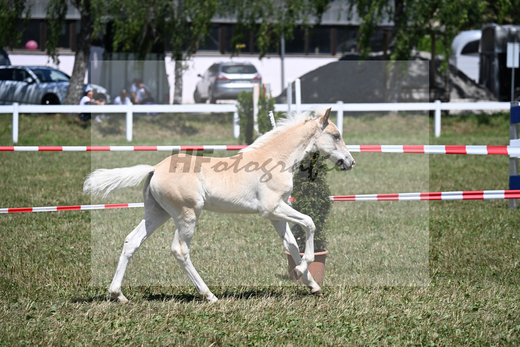 Kat-Nr. 26 HF v. Benz-E x Salto_Kerscher_22250605 | hf-fotografie - Realizzato con Pictrs.com