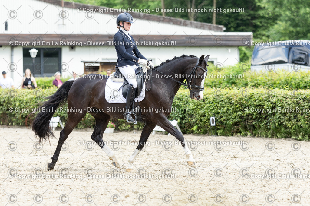 CL5A5915-2 | Emilia Reinking Fotografie - Realisiert mit Pictrs.com