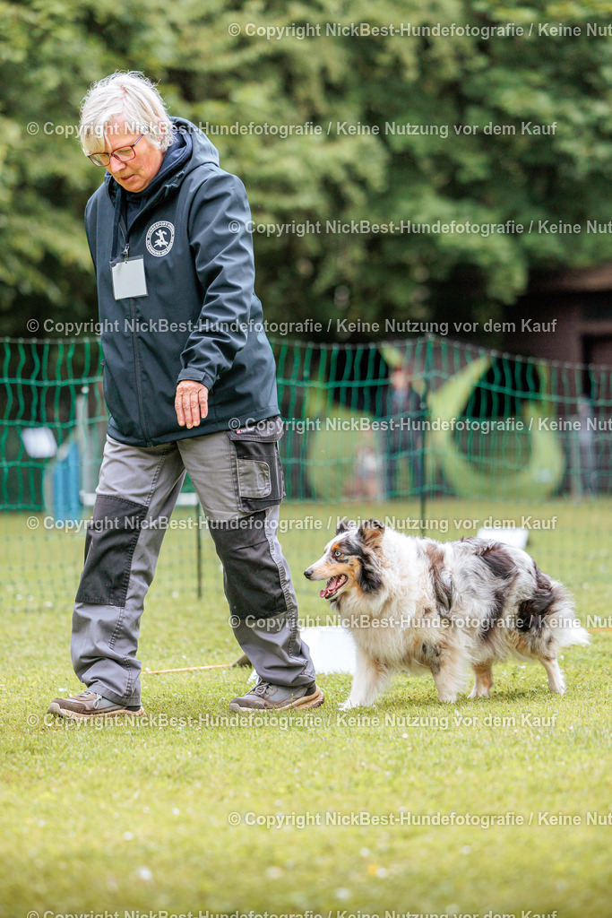 RO-Blumenthal-2026-Nickbest-Hundefotografie-2934 | Dein Hund! Dein Moment! Deine Erinnerungen! Hundefotografie in Bremen Blumenthal. Ich fange die besonderen Momente deines Vierbeiners ein – ob Indoor mit Blitzanlage oder in der freien Natur. Sicher dir dein Moment und dein Termin für eure Erinnerungen.