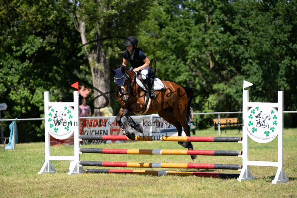 A7V05708 | Pferdefotograf