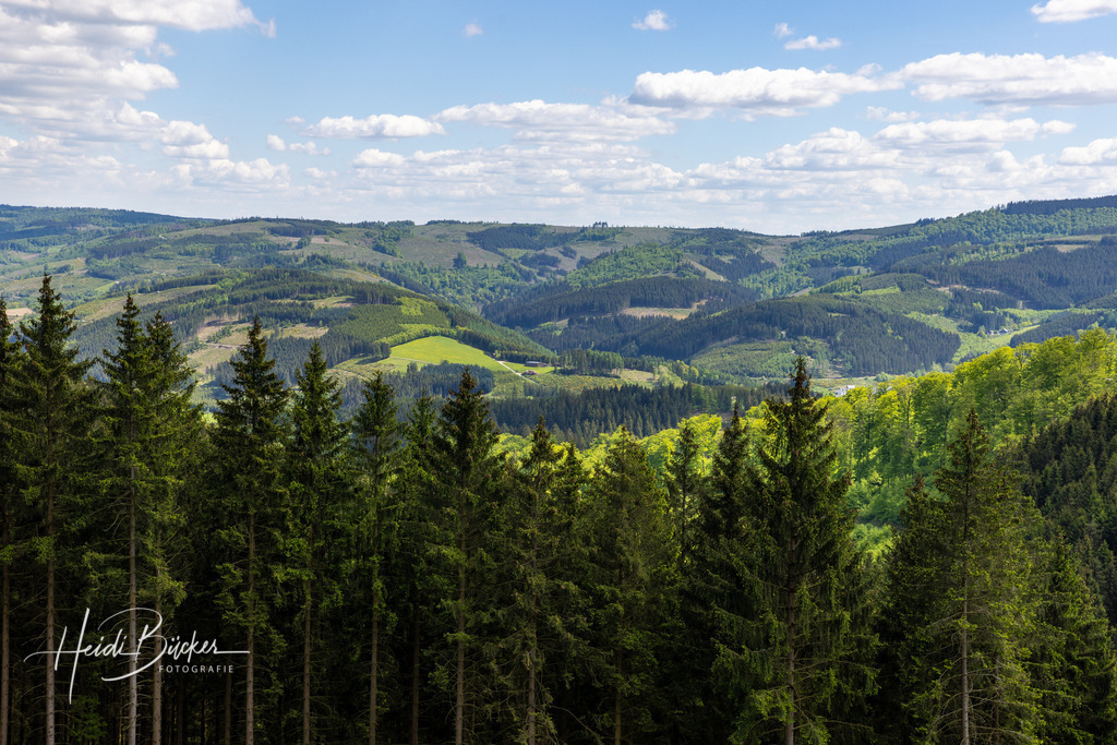 Frühling im Sauerland | Frühling im Sauerland - Realisiert mit Pictrs.com