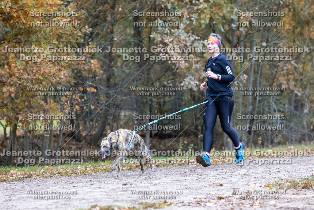 Dog Paparazzi - SD CaniX Championship 2025-362 | Dog Paparazzi Jeanette Grottendiek Fotografie & Videografie - Realisiert mit Pictrs.com