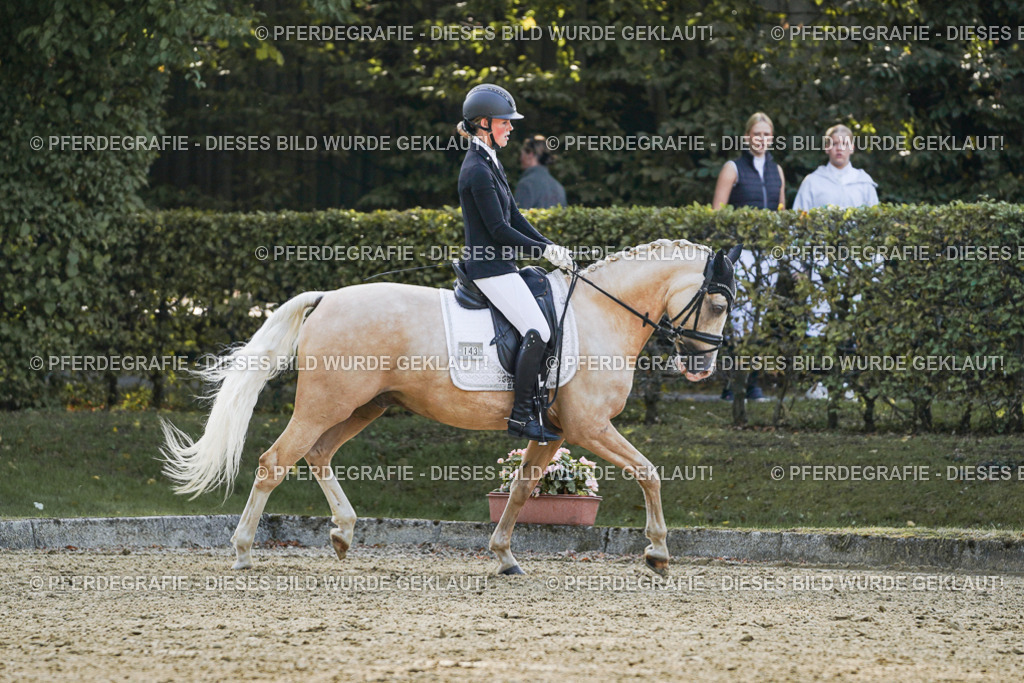 DSC04882 | Pferdegrafie