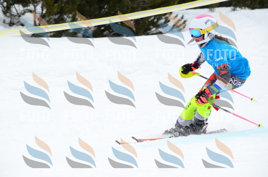 I6086 | holidayphoto