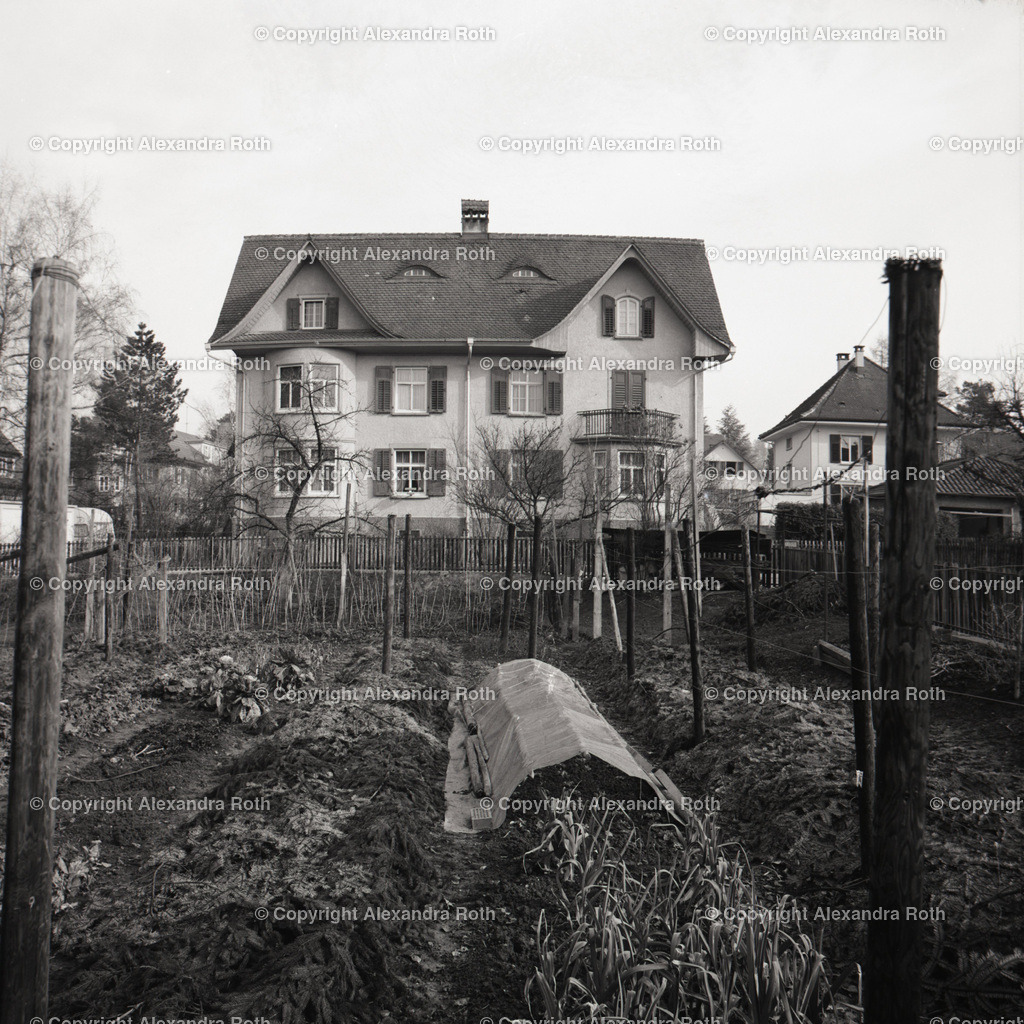 Aarau_0451 | onlineshop - Realisiert mit Pictrs.com