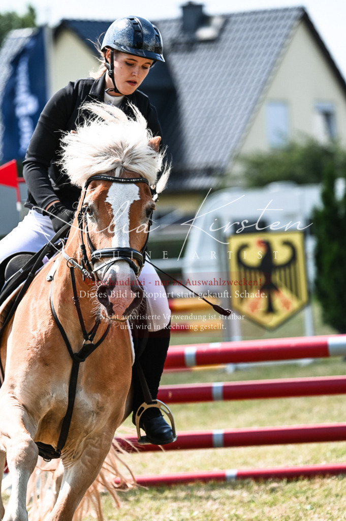 DSC_8738 | Pferde- und Turnierfotografie in Westsachsen. Pferdeportraits, Auftragszeichnungen und intuitive Kunst.