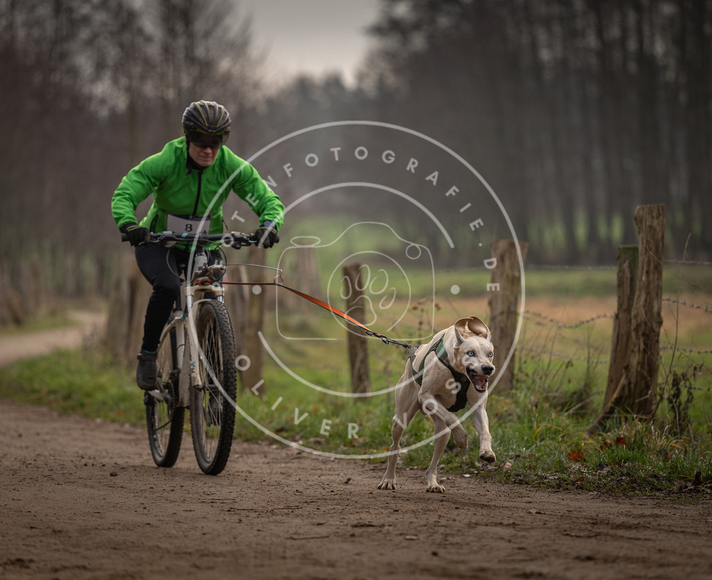 Pfotenfotografie_DV3A1660 | Hundefotografie, Tierfotograf, Pfotenfotografie, Fotoshooting Hund, Hunde Portrait, Hundesport, Hundeportraits, Heideshooting, Hunde, Sportfotograf, Hundefotograf, Turnierhundsport, THS,  - Realisiert mit Pictrs.com