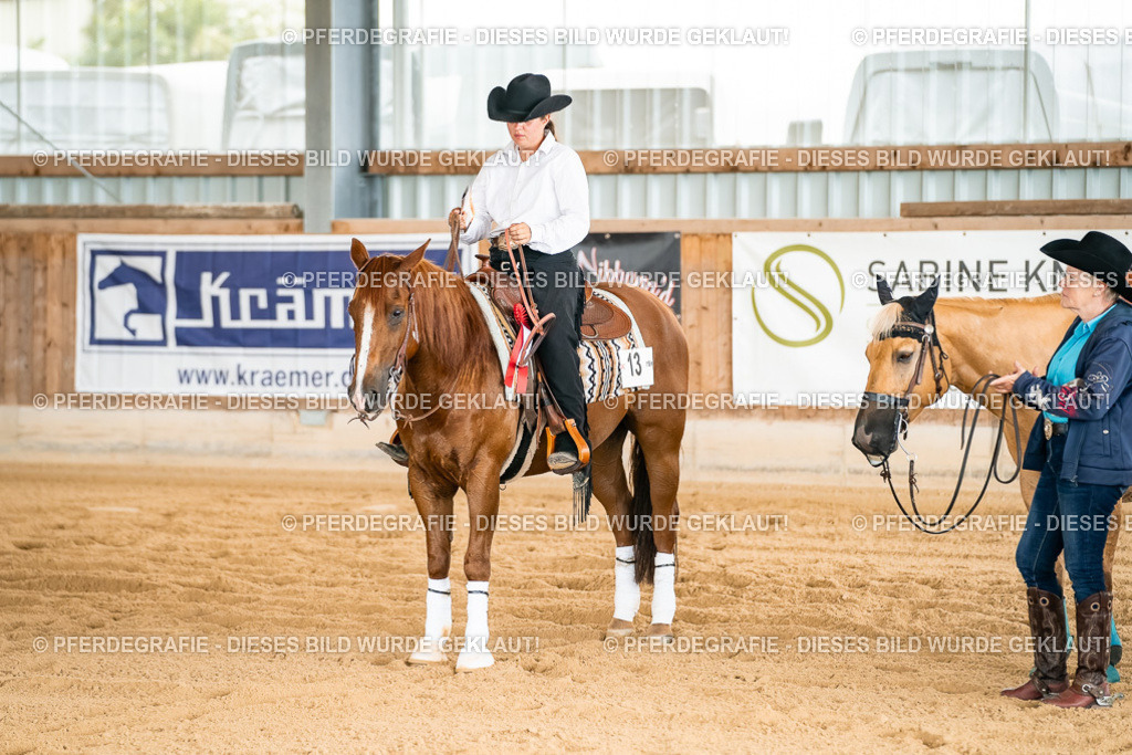 DSC02529 | Pferdegrafie