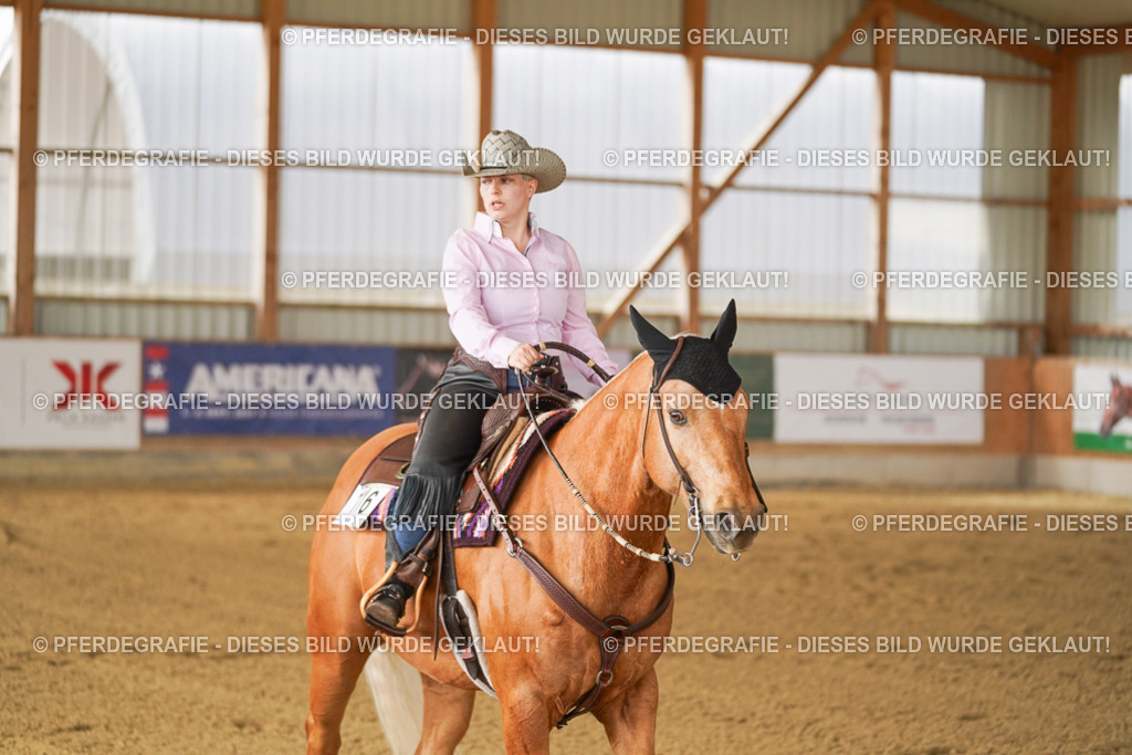 DSC02940 | Pferdegrafie