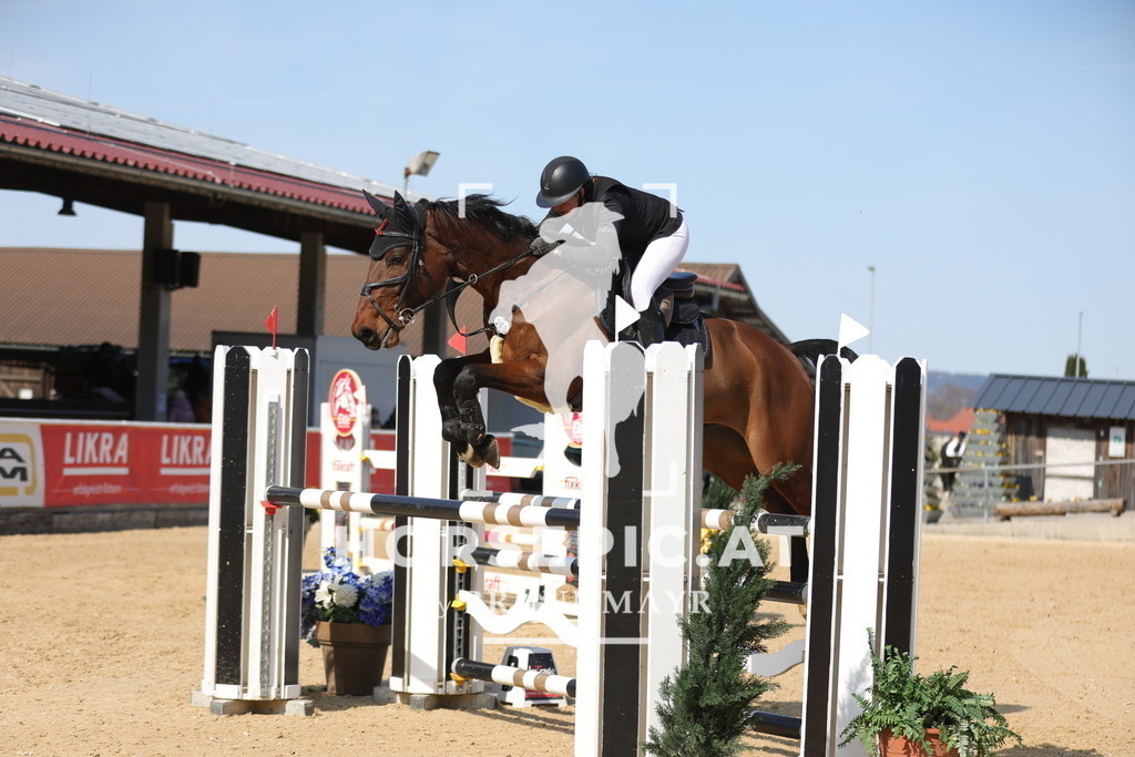 0P6A1824 | Willkommen bei Brunnmayr - Design & Fotografie – Ihrem Spezialisten für Reitturniere und Pferdeveranstaltungen in Oberösterreich, Salzburg und Bayern! Seit über 17 Jahren sind wir leidenschaftlich dabei.
