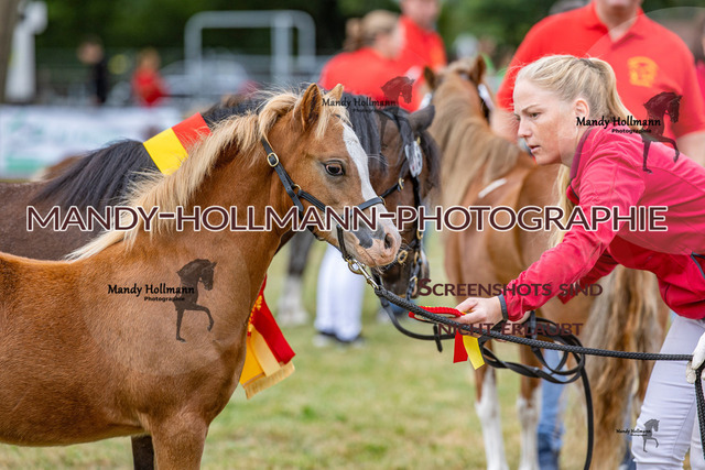 LTN 1 (629 von 918) | mandyhollmannphotographie