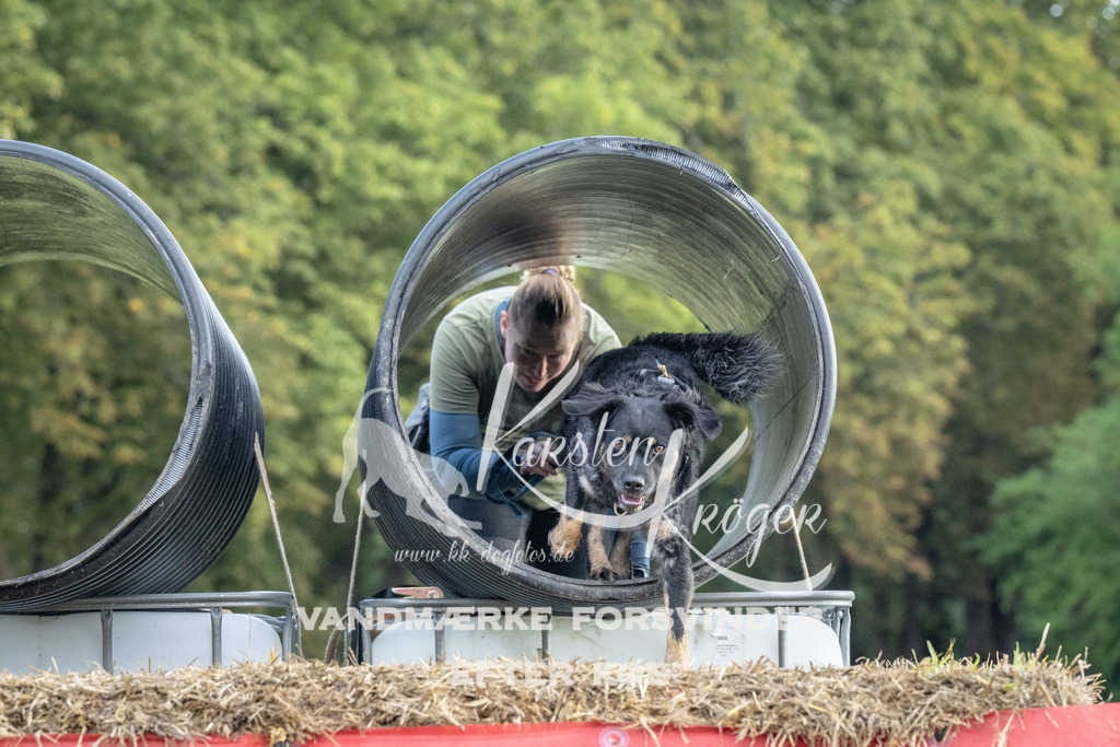 1052_ZZ93305 | kk-dogfotos