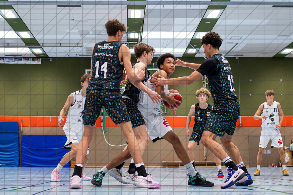 JBBL 24/25 | 23.11.2024 | Charisma Young Bulls vs. UBC Münster  | JBBL 24/25 | 23.11.2024 | Charisma Young Bulls vs. UBC Münster - - - - - CREDIT, www.bullenfotos.de, Martin König, Hörner Weg 40, D-49078 Osnabrück, +4917663732967, Nutzung und Weitergabe nur zu den vereinbarten Zwecken. Presseanfragen an Urheber. Alle Rechte beim Urheber. - - - - - - Realisiert mit Pictrs.com