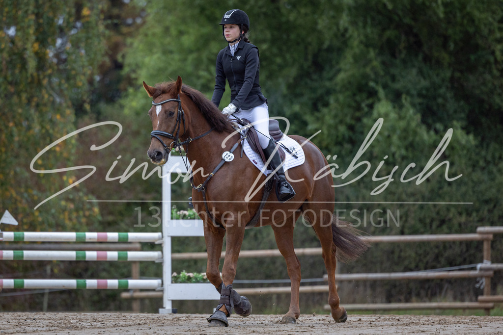 20251012-_3LI2472 | Tierfotografie Pferde, Hunde, Katzen, Haustiere.
Turnierfotografie Reitturniere, Reiten, Springreiten, Dressur in Hanau, dem Main-Kinzig-Kreis und dem Rhein-Main- Gebiet um Frankfurt