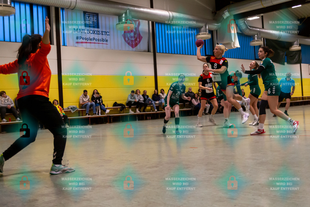 _HP_6609_3000o | TV Welling Damen vs. HSG ObereNahe 04.02.2024