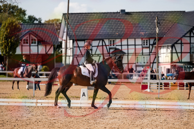 2026_10_03_Siefer-Hof_133611_Z63_96233847 | Professionelle Reitsport-, Turnier- und Eventfotografie von Robert Broda. Galerien mit ausgewählten und bearbeiteten Bildern direkt online ansehen und bestellen.